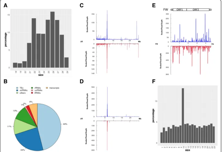 Fig. 2 Examples of results obtained from sRNAPipe. a Length distribution of the reads