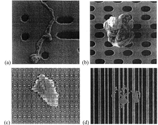 Figure 3.4: Examples  of Particulate  (a  &amp; b)  and Missing Pattern  (c  &amp; d)  Defects..