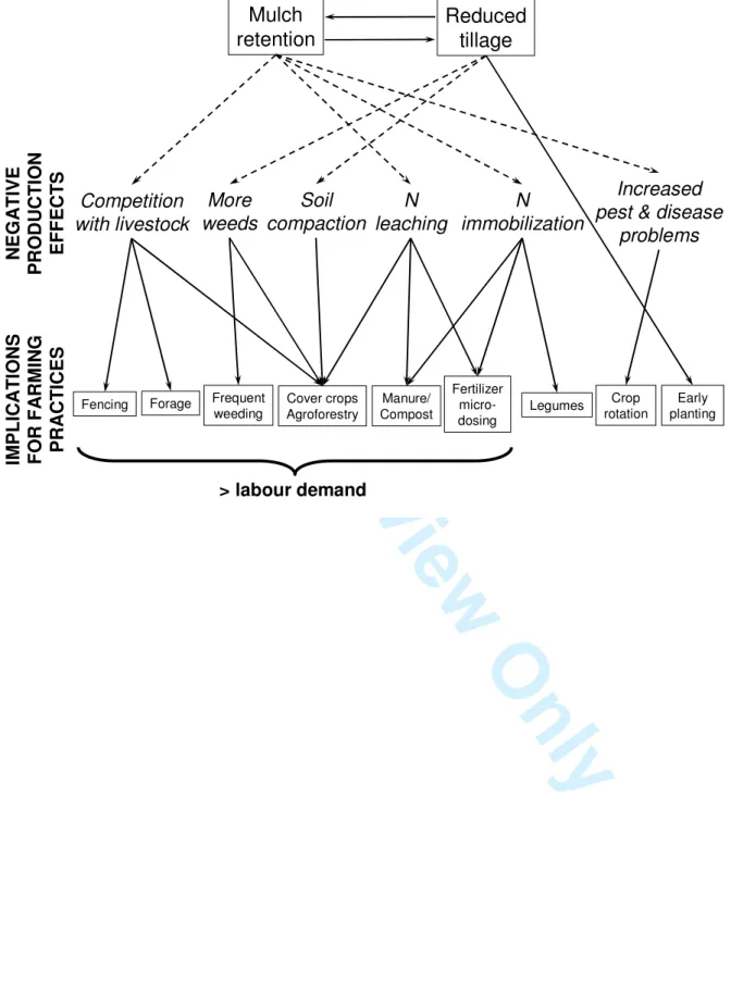 Figure 2 – Two main principles of CA and their consequences: possible negative effects  on production and implications for farming practices.