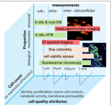 FIGURE 1 | Intra- and extra-cellular measurements performed by different methods in the continuum of biological, structural, and mechanistic properties plotted vs