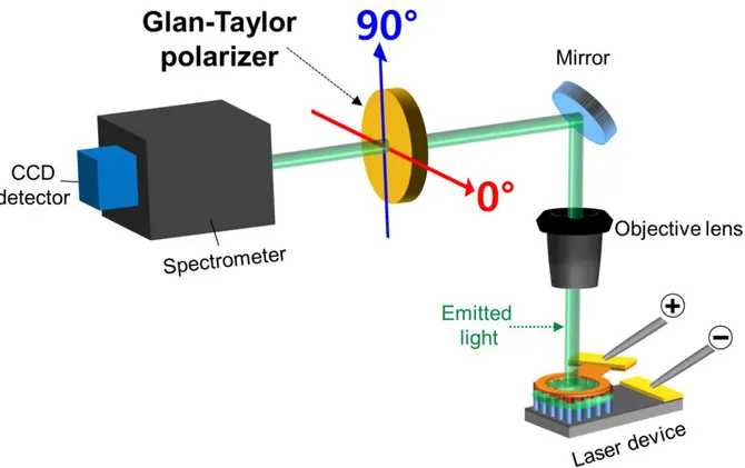 Fig. S10. Schematic illustration of the polarization angle measurement. 