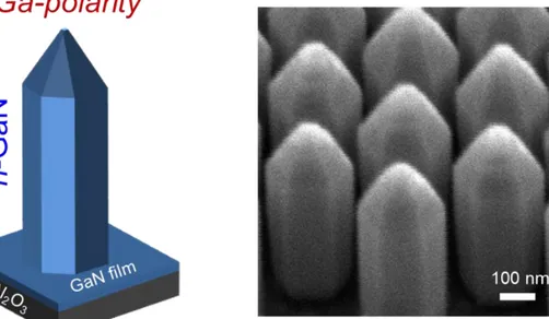 Fig. S4. Ga-polar n-GaN nanocrystal structure. (A) Schematic illustration of the Ga-polar  n-GaN nanocrystal structure grown on GaN template