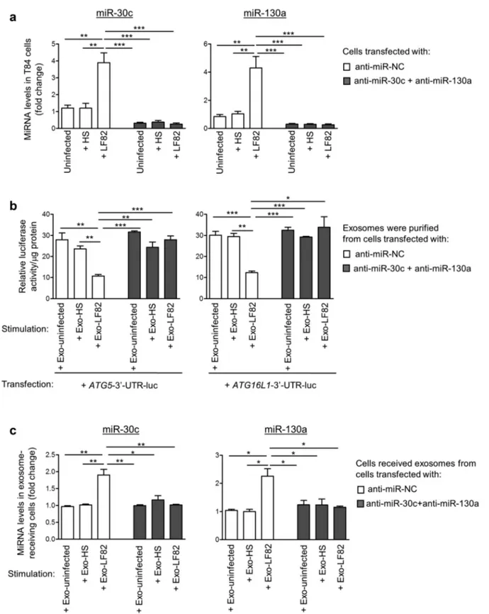 Figure  5.  Inhibition  of  miR-30c  and  miR-130a  in  AIEC-infected  T84  cells  abolishes  the  increase  in  miR-30c  and  miR-130a  levels  in  exosomes and in exosome-receiving cells