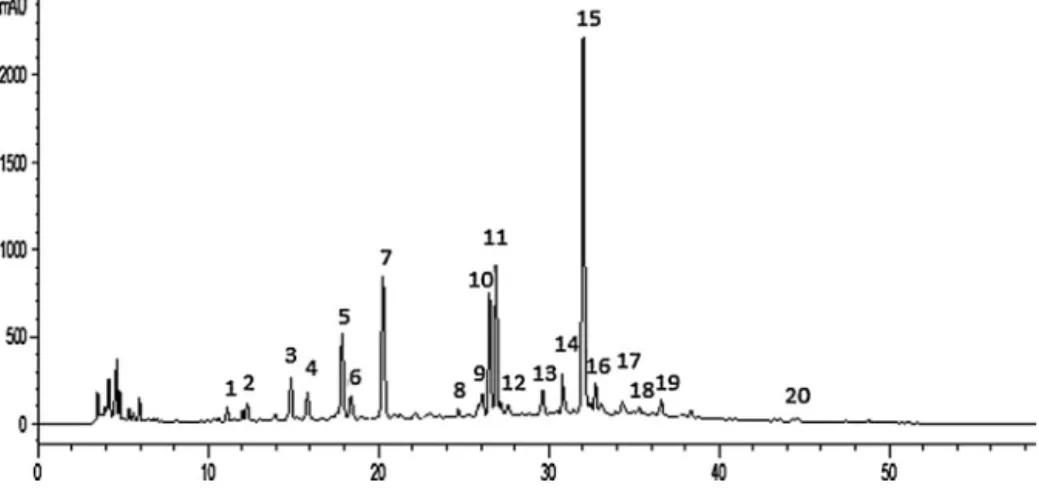 Fig. 1. HPLC chromatogram obtained at 280 nm for aqueous extract of T. grandis leaves.
