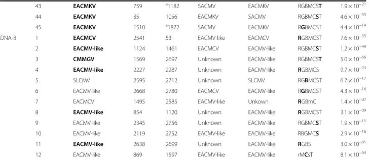 Fig. 2). We have additionally shown here that SACMV displays intermediate patterns of recombination relative to EACMKV and ACMV (6 events as a donor and 12 as a recipient in the Madagascan CMGs): despite its wide geographical distribution and high prevalen