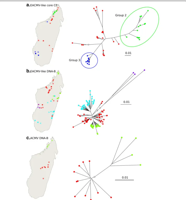 Fig. 4 Population genetic structure revealed through discriminant analyses of principal components