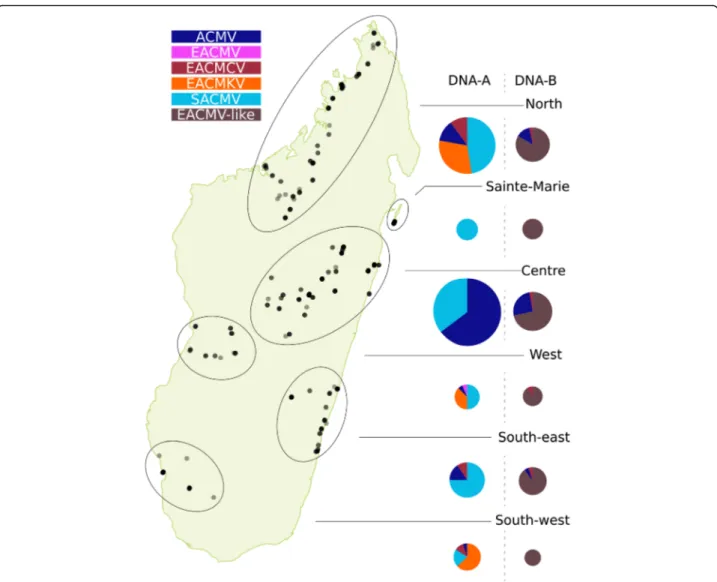 Fig. 1 Species composition and repartition map of the CMGs in Madagascar. Black dots indicate the location of samples from which sequences (DNA-A or DNA-B) were isolated, with the degree of transparency representing density of sequence sampling