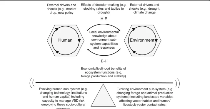Fig. 3 Adaptive management of Vector-borne disease (VBD) risk in a pastoral grazing system