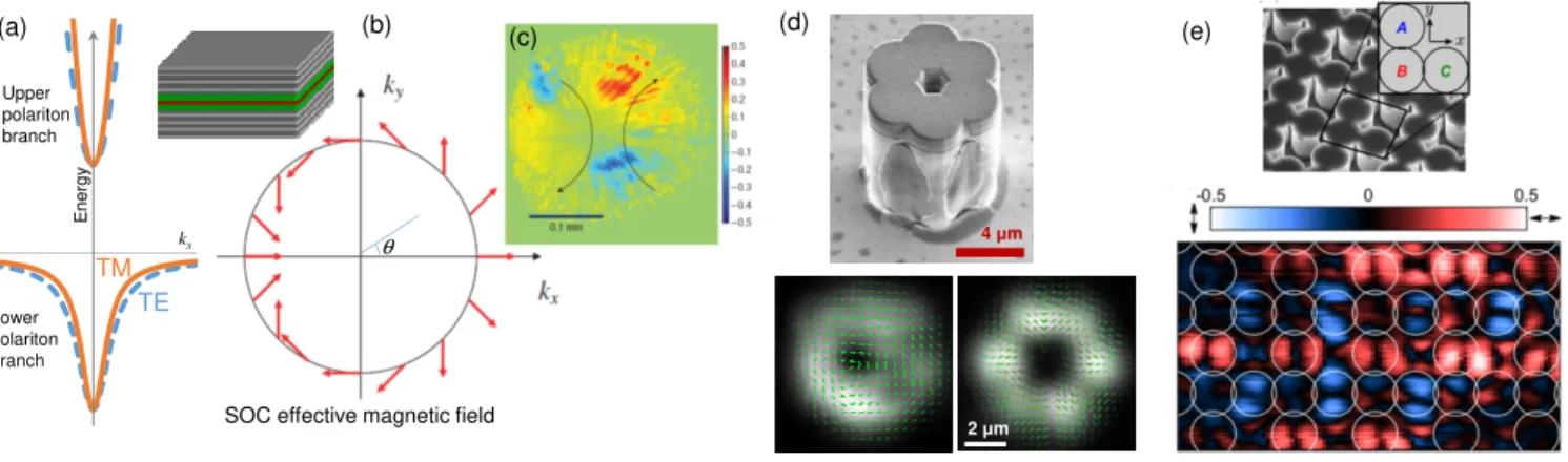 Figure 4. (a) Schematic dispersion of the polariton branches in a planar dielectric microcavity, showing the TE-TM splitting.
