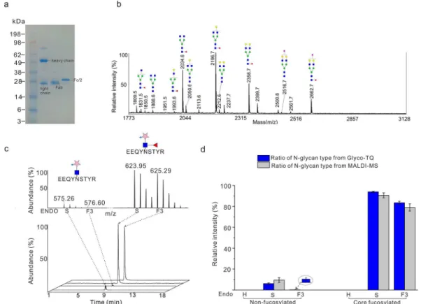 Figure 2. Quantitative analysis of the standard glycoprotein IgG1 Fc using the Glyco-TQ method