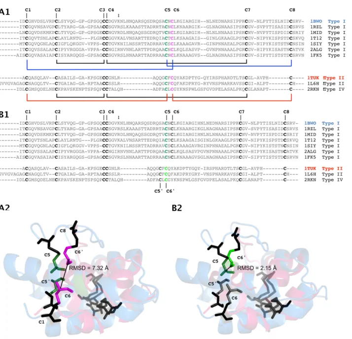 Figure 1 Effect of alternate cysteine residue alignments on the superposition of type I and II nsLTP experimentally determined structures.