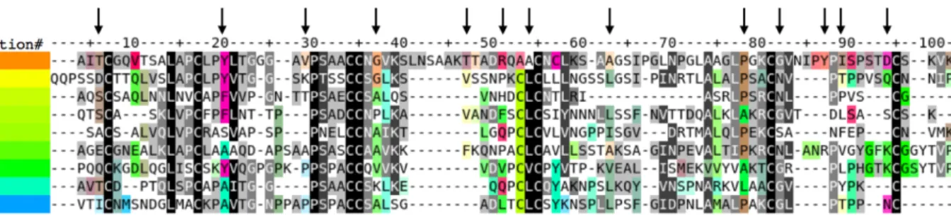 Figure 3 Consensus sequence alignment for all nsLTP types. The indicated amino acids are the most frequent for each type of nsLTP and vertical arrows indicate residues analyzed in detail in the following text