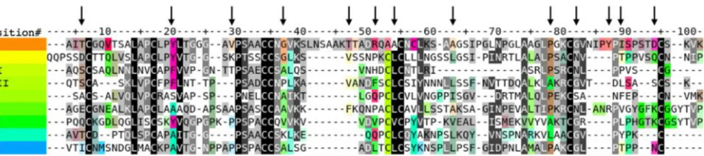 Figure 3 Consensus sequence alignment for all nsLTP types. The indicated amino acids are the most frequent for each type of nsLTP and vertical arrows indicate residues analyzed in detail in the following text