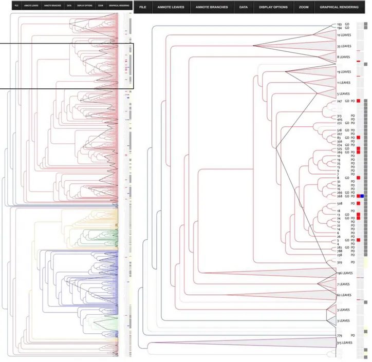 Figure 6 InTreeGreat view of the structure tree. The left pane shows the phylogenic tree of the nsLTP structures colored according to type and the right pane represents a close-up of the Type I (colored in red) part of the tree