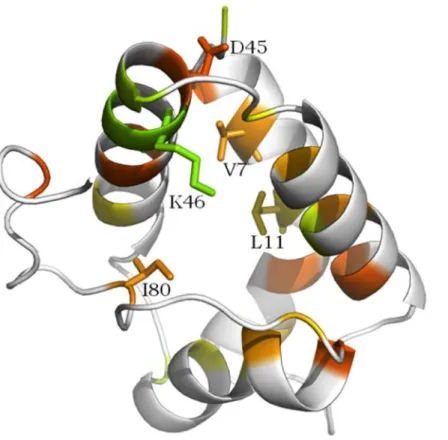 Figure 7 shows the ﬁ ve residues highlighted in Table 2 in the 3D structural context of the representative protein of the defense cluster (protein 525)