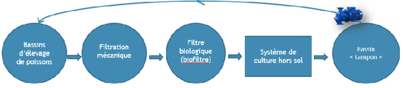 Figure 6 : Principe d’un système couplé. Foucard et al., 2018. 