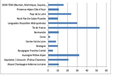 Figure  11 :  Répartition  des  différents  porteurs  de  projets  en  France  (échantillon  de  250  répondants  au  sondage APIVA ®