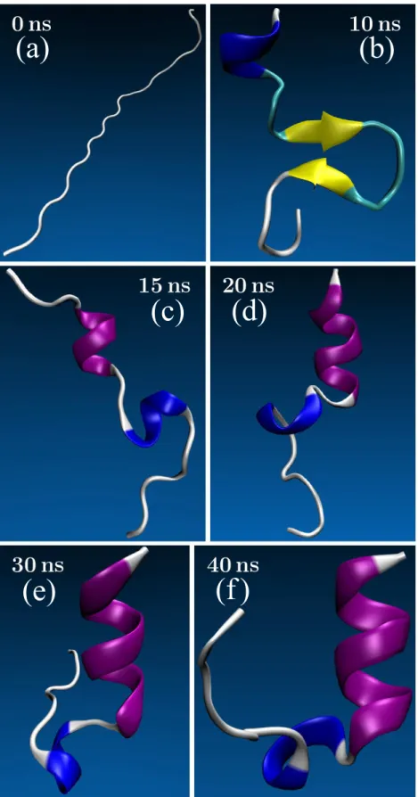 FIG. 5. Conformational states of hydrated miniprotein 1L2Y in tertiary structure representation, obtained during the MTS-MD/OIN/ESFE/3D-RISM-KH simulatiuons at different moments of time: (a) t = 0 , (b) t = 10 ns, (c) t = 15 ns, (d) t = 20 ns, (e) t = 30 n