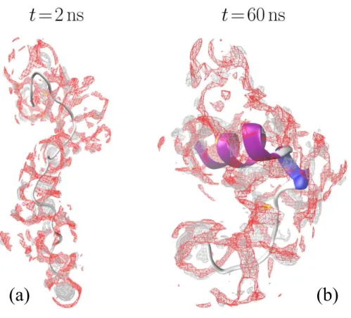 FIG. 6. Tertiary structure snapshots of miniprotein 1L2Y at the (a) beginning (t = 2 ns) and (b) end (t = 60 ns) of the OIN/ESFE/3D-RISM-KH quasidynamics complemented by the isosurfaces of density distribution functions of water oxygen at g uv O = 3 (red) 