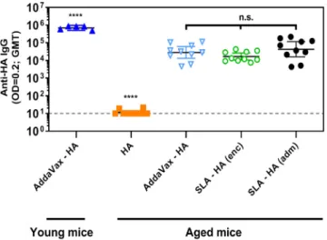 Fig. 3. Anti-HA IgG titers in aged immunized mice. Balb/c mice aged 23 months (n = 10/group) were immunized i.m