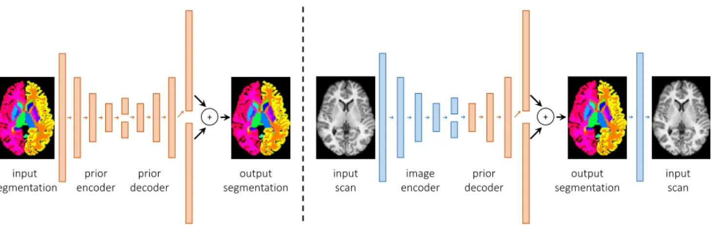 Figure 2. Left: Proposed Auto-Encoding Variational Anatomical Prior. A variational auto-encoder is combined with a location-specific prior layer