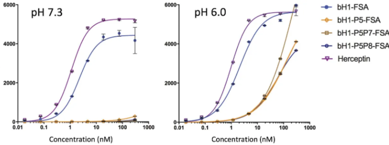 Figure 7. pH dependence of FSA variants binding to cells expressing Her2 at low-density