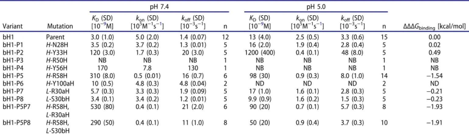Table 2. SPR data for Fab binding to recombinant human Her2 ectodomain.