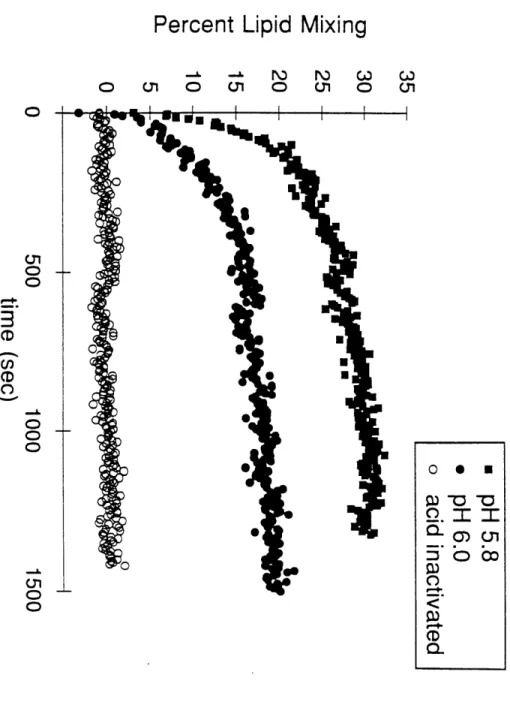 Figure 4a Percent  Lipid  Mixing