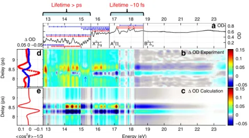 Figure 2b clearly shows that there are two types of absorption features: those that maximize when the molecular axis is parallel to the XUV polarization direction (τ ¼ 8:57 ps), and those that maximize when the molecular axis is perpendicular (τ ¼ 8:32 ps)