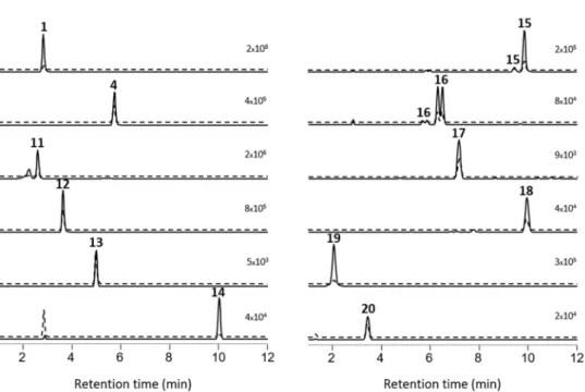 Figure 2. Extracted ion LC–HRMS chromatograms ( ± 5 ppm) of MC congeners obtained with LC-HRMS / MS method A from a concentrated extract of P