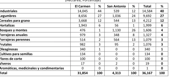 Tabla 2.9: Cultivos y sus superficies implantadas en El Carmen y San Antonio, 2002  (Hectárea, Porcentaje) 