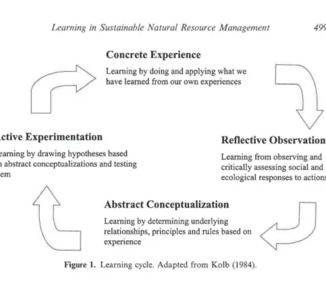Figure 7. The cycle of experimental learning, according to Kolb 