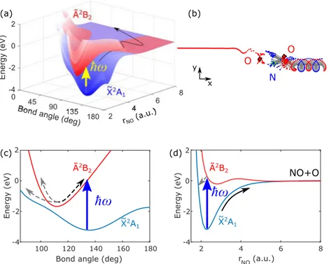 FIG. 1. The near threshold photodissociation dynamics of NO 2 . (a) Approximate potential energy surfaces of the ground (blue) and the first excited (red) electronic state of NO 2 as a function of bond angle and one N–O bond length
