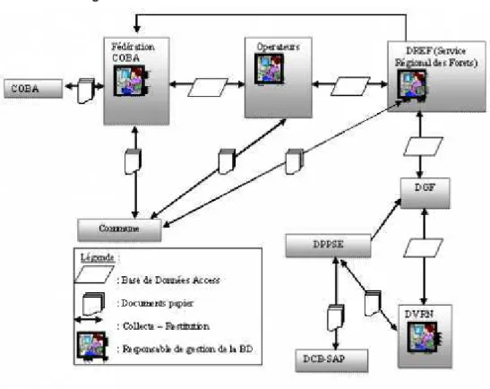 Figure 6. Le circuit des informations rassemblées dans la base de données entre  les acteurs charges du suivi des TG