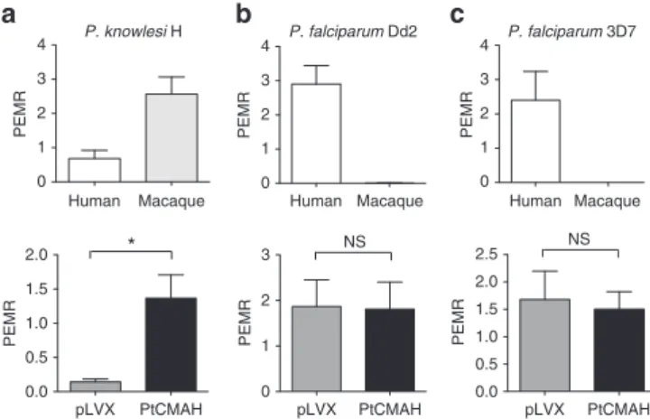Figure 2 | Introduction of Neu5Gc on human RBCs increases P. knowlesi invasion but does not affect P