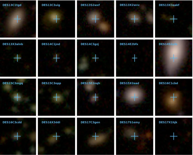Figure 2. Selection of DES RET host galaxies in an RGB composite of the DES gr i band deep coadds from W20