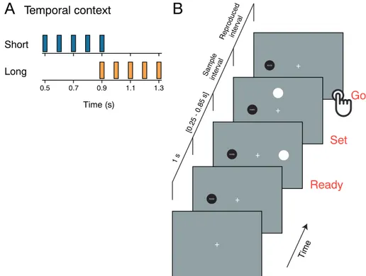 Fig. 2A shows the mean reproduction of interval durations for the diﬀerent age groups