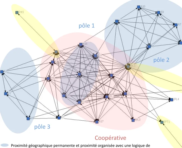 Figure 2: le réseau de l'APL goyave en 2012 