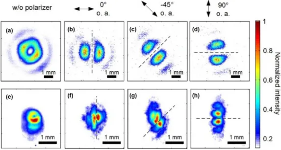 FIG. 3. Characterization of polarization states of high-harmonic beams using a linear polarizer