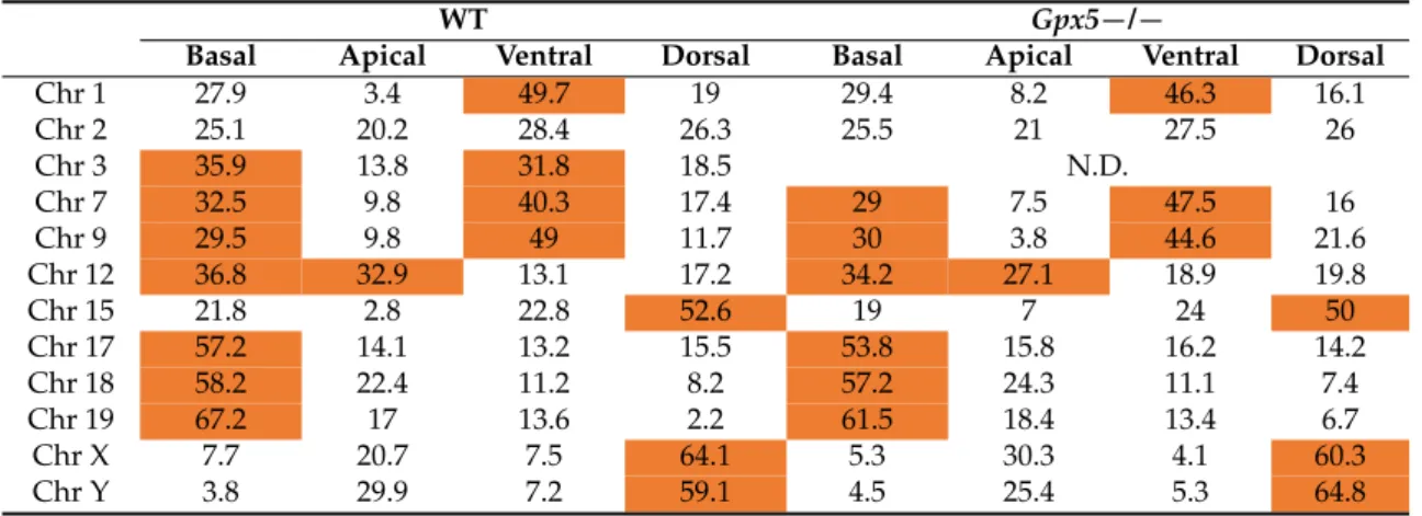 Table 1. Regional mapping of chromosomes in WT and Gpx5 −/− mouse sperm nuclei. Chromosome positions are assigned, determined in WT and Gpx5 −/− mouse sperm nuclei, using FISH