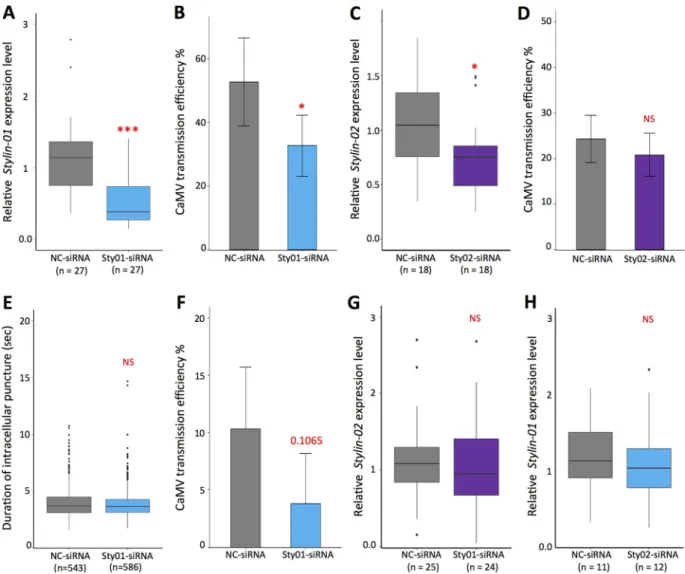 FIG 5 Effects of stylin-01 and stylin-02 gene silencing on cauliﬂower mosaic virus transmission