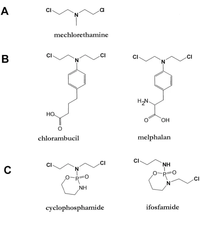 Figure 1.2 The  structures of nitrogen  mustards currently used  in clinic