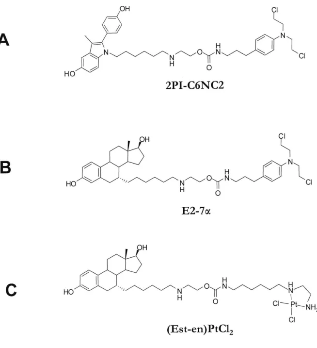 Figure 1.5  The ER binding compound  based on  programmable  cytotoxins  paradigm This figure  illustrates the  flexibility of the  programmable  cytotoxins  approach