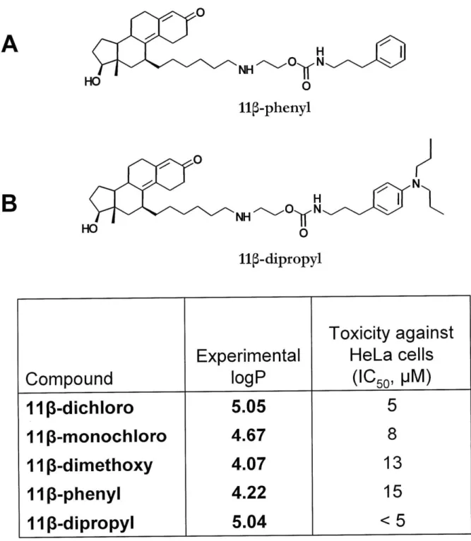 Figure 1.12 Comparison  of 11P  derivatives  in terms of  solubility  and toxicity Two  more compounds  have  been  synthesized,  to  elucidate  the role  of the warhead  in   I1p-dichloro's  toxicity:  11  p-phenyl  (A)  and  11p -dipropyl  (B)