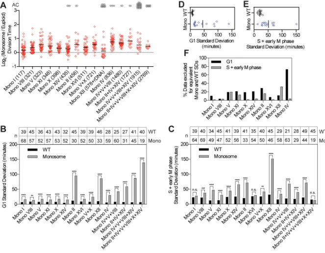 Figure 2. Chromosome loss leads to cell cycle delays and cell-to-cell variability