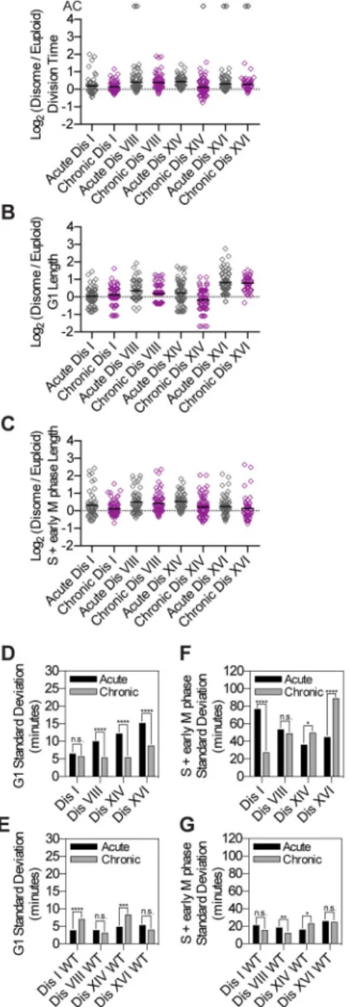 Figure 5. G1 length variability is attenuated in yeast strains harboring chronic disomies