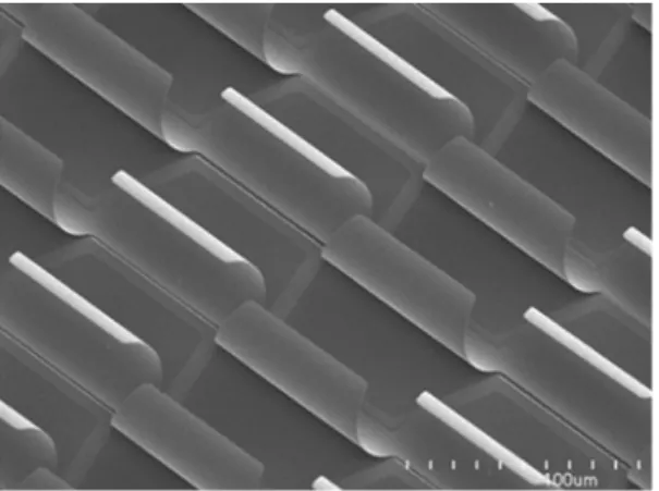 Fig. 1 Scanning electron microscopic (SEM) image of an array of trapezoidal microblinds (microshutters) fabricated at the NRC.