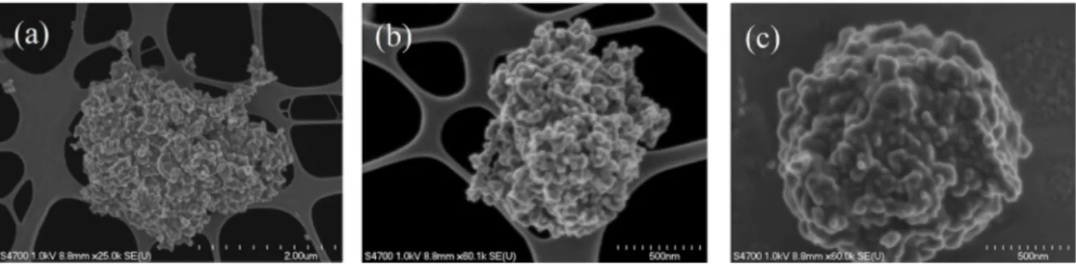 Figure A2. Selected electron-microscope images of dry dispersed agglomerates of (a) ethylene combustion product, (b) Regal 400R, and (c) R2500U