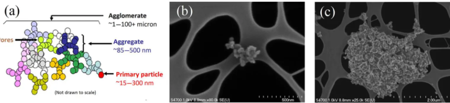 Figure 1. (a) Illustration of agglomerate, aggregate, and spherule definitions, reproduced with permission from Long et al