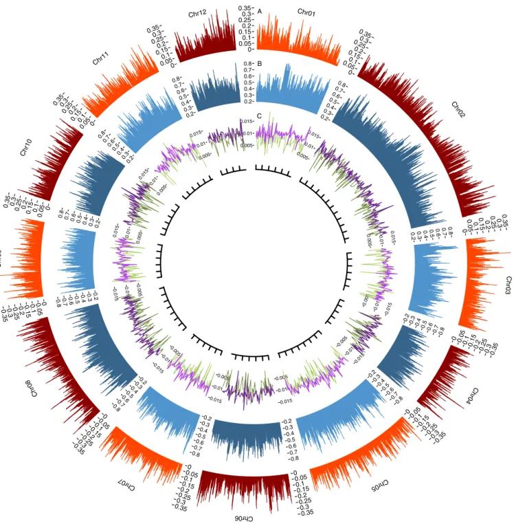 Fig. 1 | Genomic landscape of the 12 assembled oak chromosomes.  Gene (A) and TE (B) density, percentage heterozygosity (purple in C) and genetic  diversity (green in C)